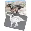 Dinosaur Picture Cards & X-Rays