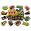 Sensory Play Stones, Bugs