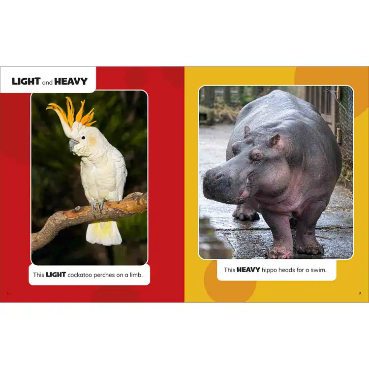 The World Around You Book Set