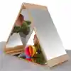 Becker's Infant Triangle Activity Mirror