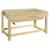 Outdoor Sand & Water Table