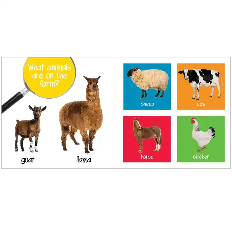 What Do You See? Board Book Set