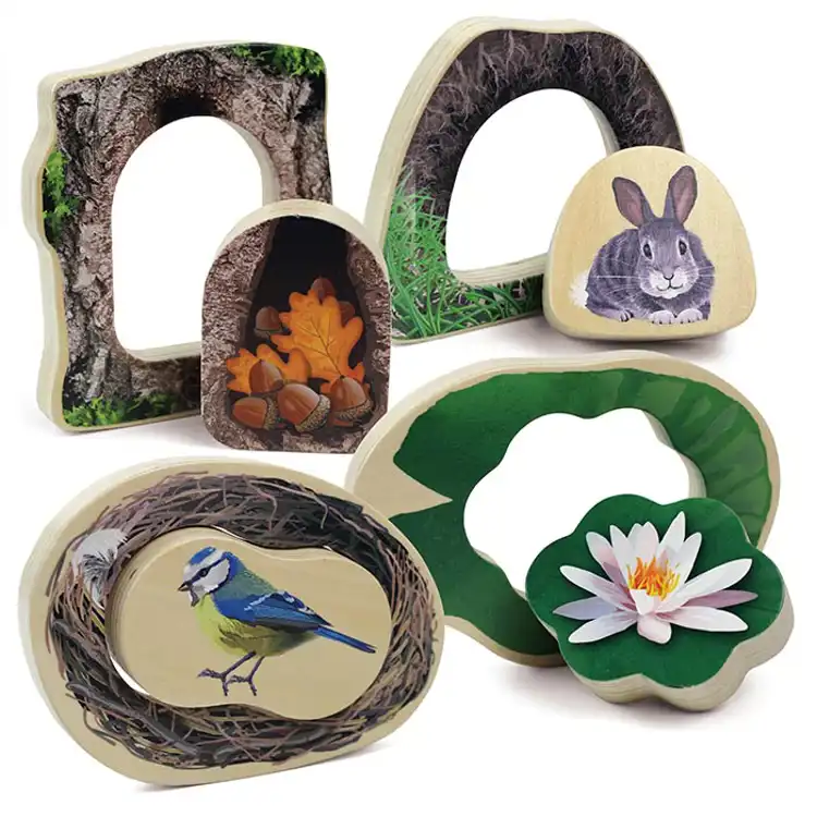 Who's Hiding? Woodland Animals