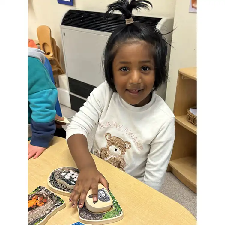 Who's Hiding? Woodland Animals