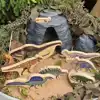 Wooden Dinosaurs