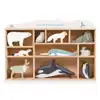 Wooden Polar Animals