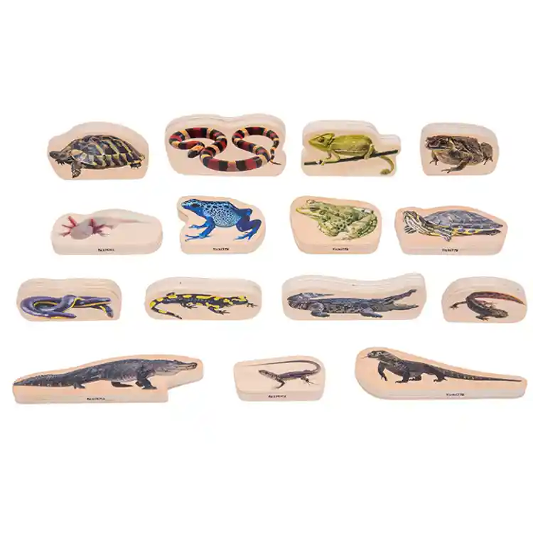 Wooden Reptile & Amphibian Blocks