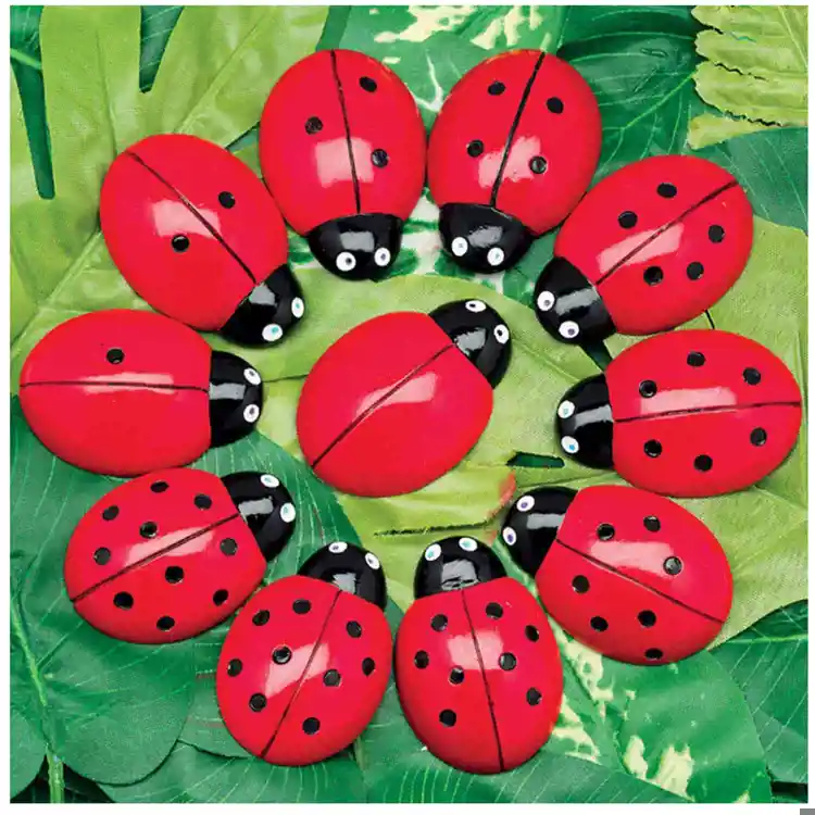 Ladybug Counting Stones