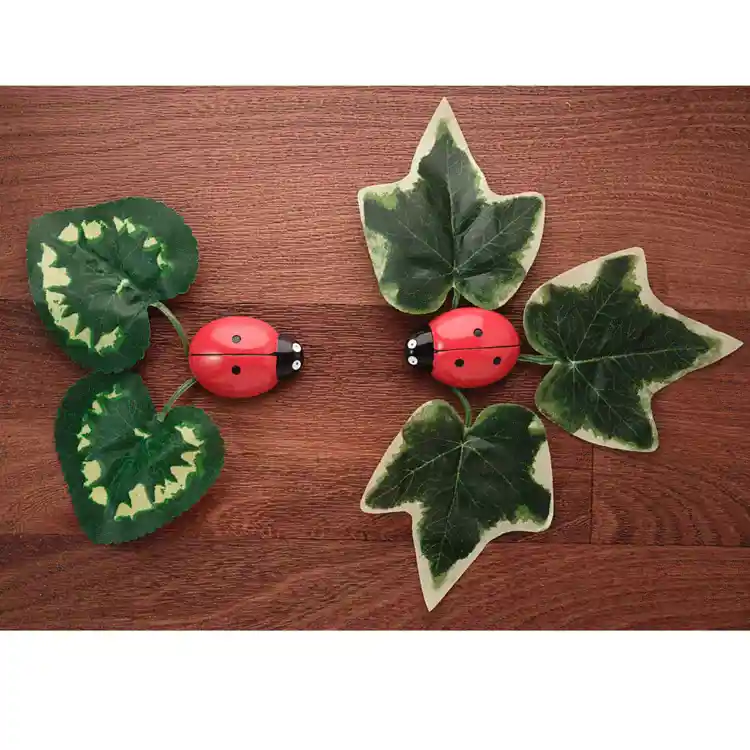 Ladybug Counting Stones