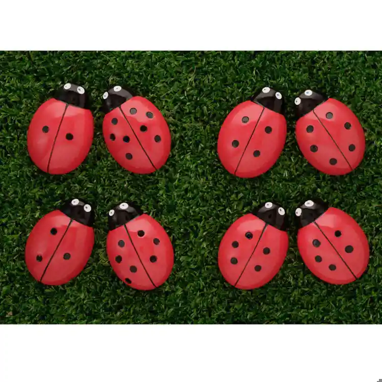 Ladybug Counting Stones