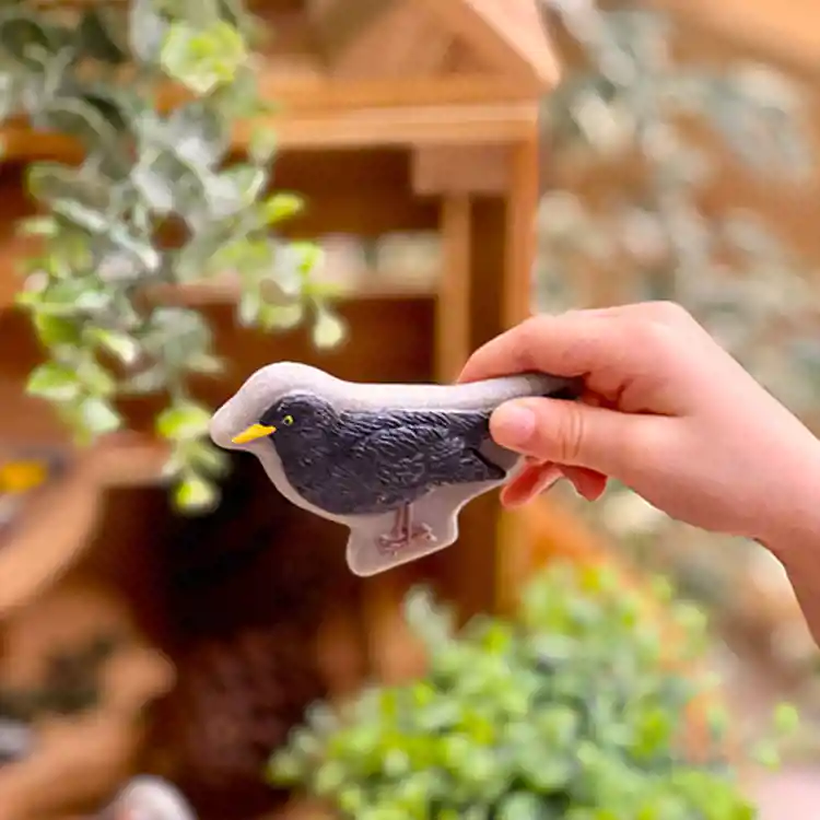 Sensory Play Stones, Birds