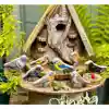 Birdwatching Learn & Play Set