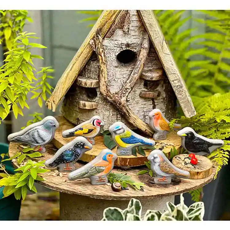 Birdwatching Learn & Play Set