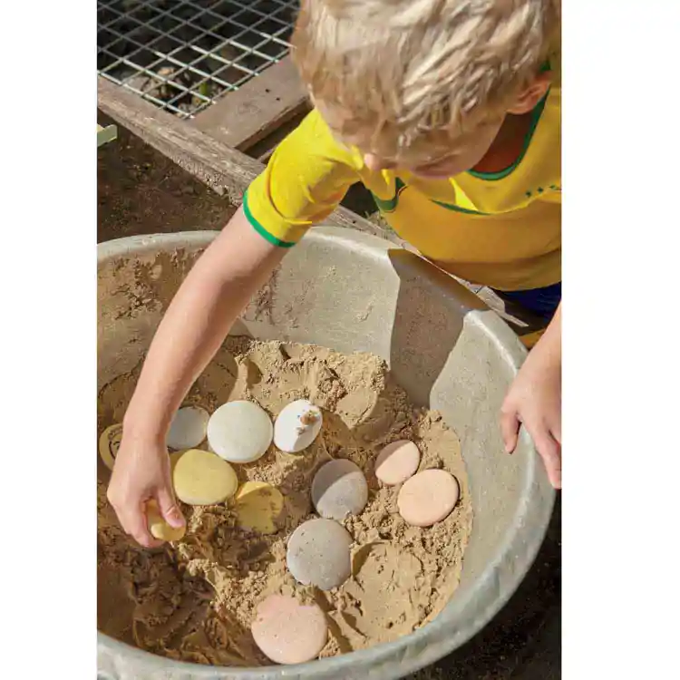 Natural Sorting Stones