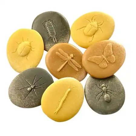 Bug Stones
