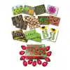 Ladybug Count Stones & Number Cards Set