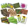 Ladybug Count Stones & Number Cards Set