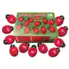 Ladybug Count Stones & Number Cards Set