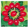 Ladybug Count Stones & Number Cards Set