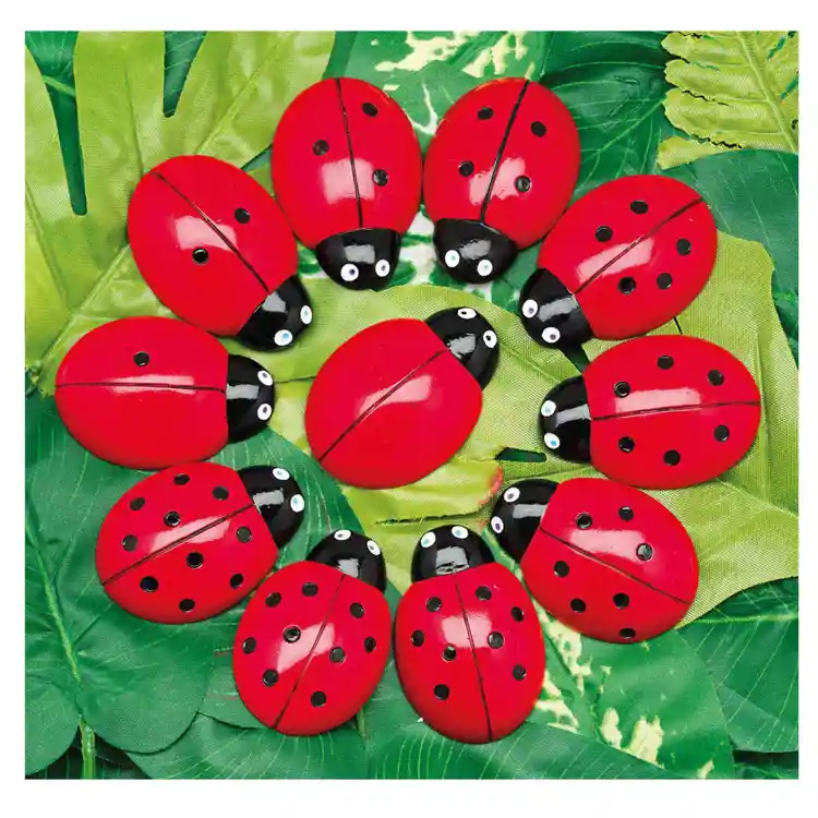 Ladybug Count Stones & Number Cards Set