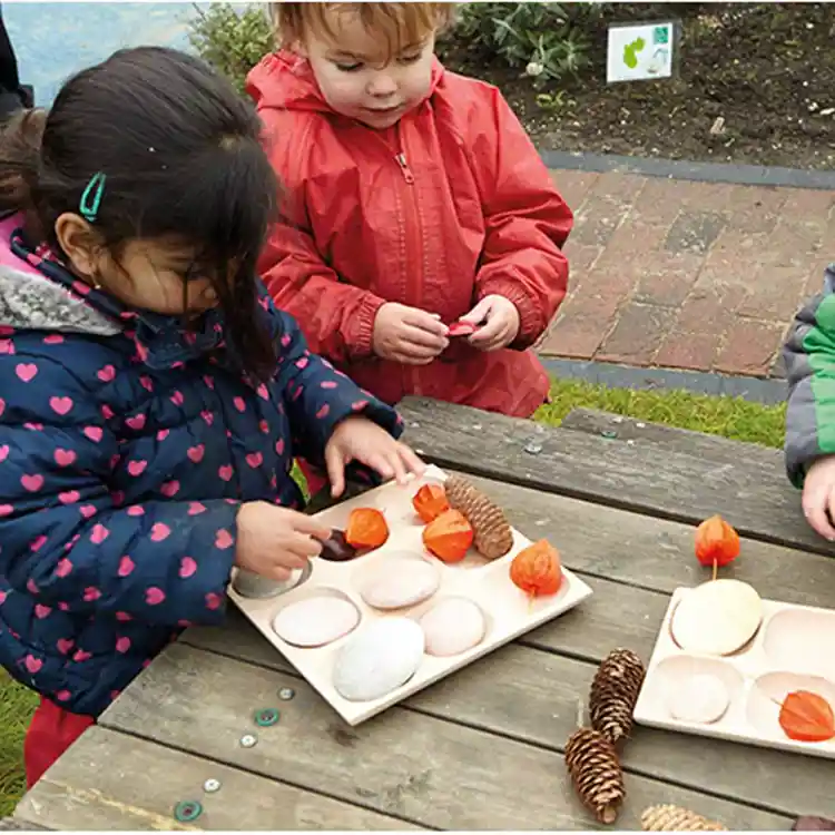 Natural Sorting Tray