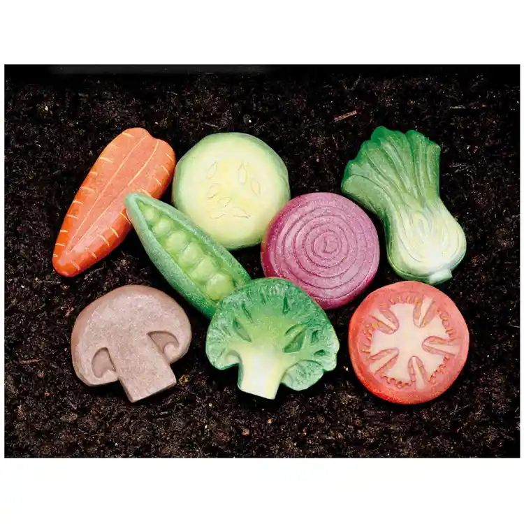 Sensory Play Stones, Vegetables