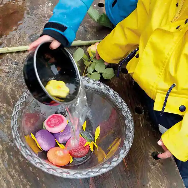 Sensory Play Stones, Flowers