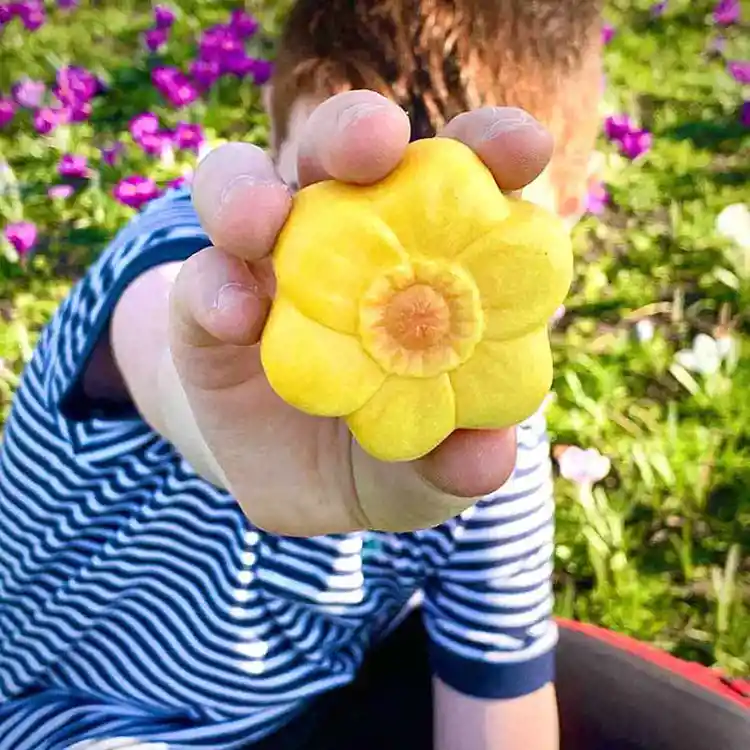 Sensory Play Stones, Flowers