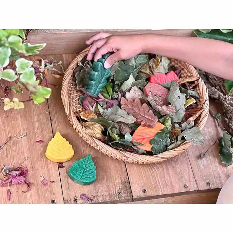 Sensory Play Stones, Leaves