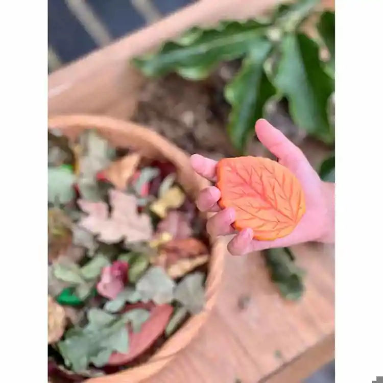 Flowers & Leaves Sensory Play Stones