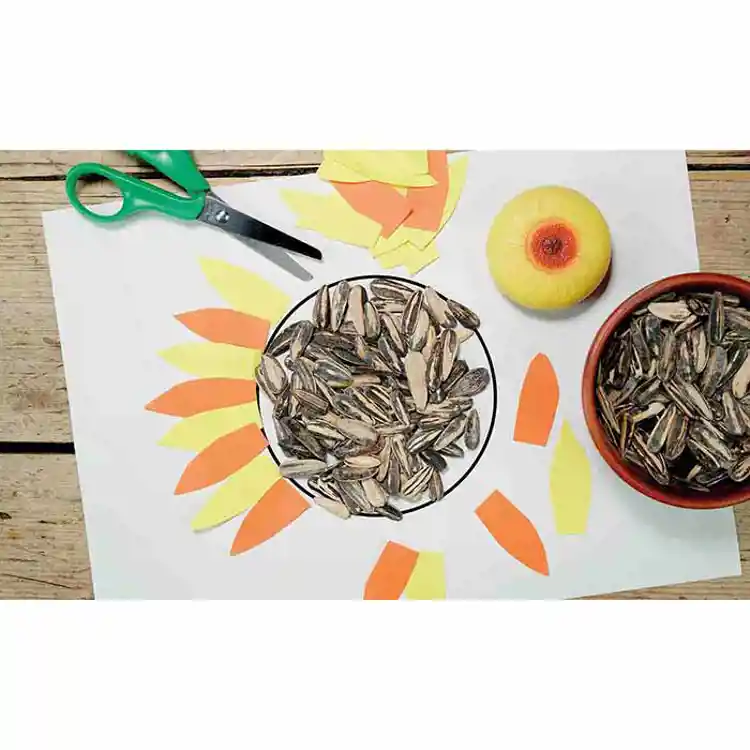 Flowers & Leaves Sensory Play Stones