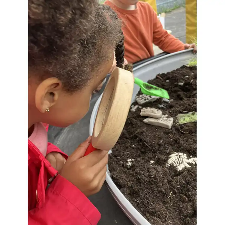 Dig & Discover Dinosaurs