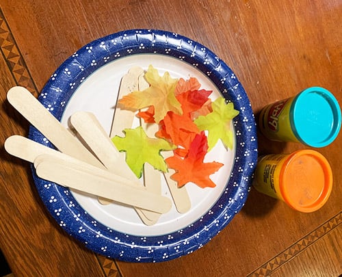 Fall Engineering Science Activity