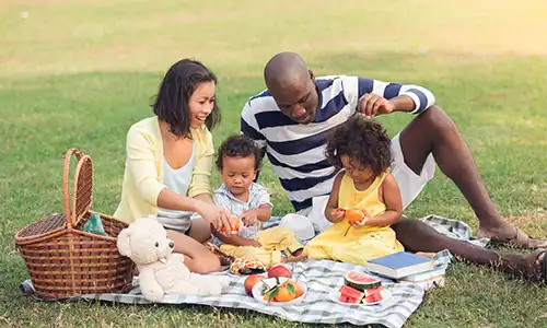 Let&rsquo;s Have an Alphabet Picnic Activity
