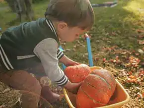 Pumpkin in the Water Table STEM Activity