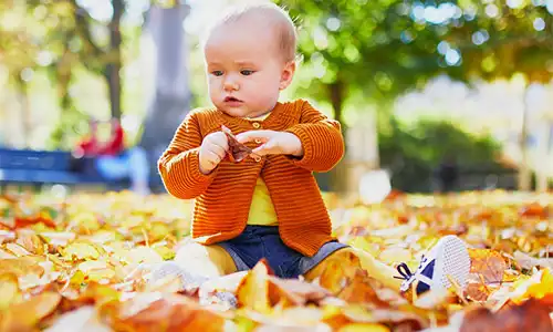 Toddler sitting in leaves