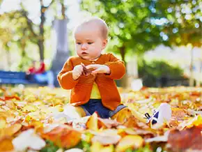 Toddler child sitting in leaves outsize