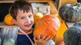 Boy holding pumpkin