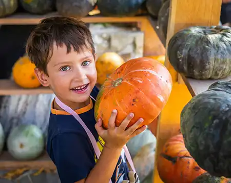 Boy holding pumpkin